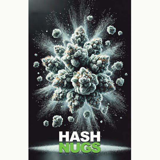 Rosin Tech Labs - Hash Nugs - Snow Cap - 1