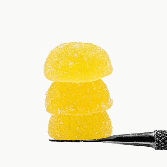 Rosin Tech Labs - Rosin Drops - Zamosa - 1