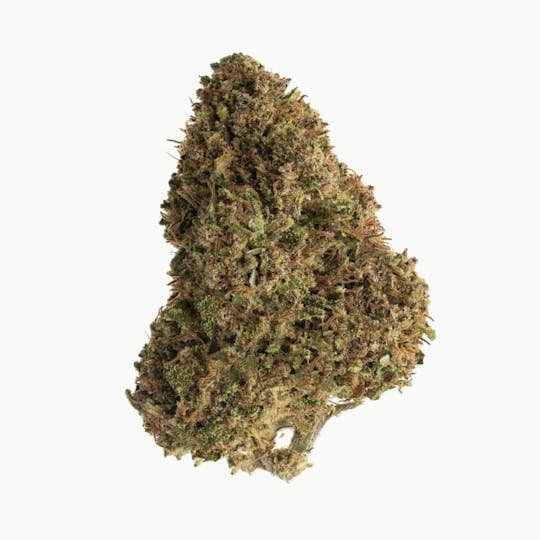 LA Native - Space Burgers - Sungrown - 1