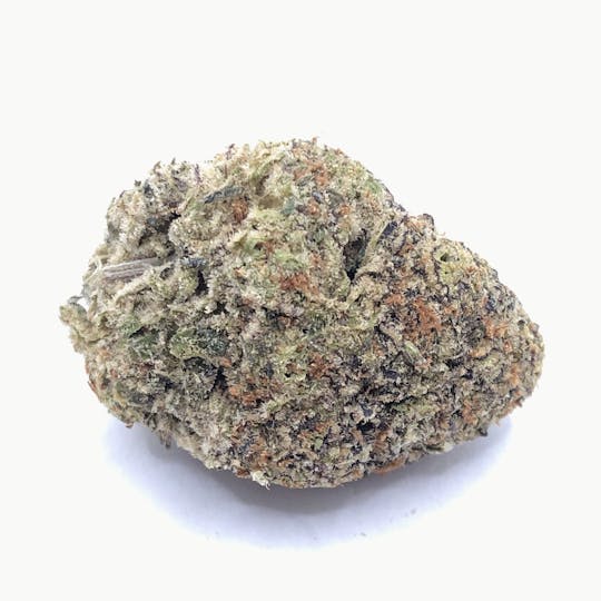 LA Native - Pink Certz - Indoor Mids - 1