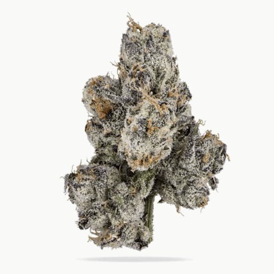 LA Native - Bubble Runtz - INDOOR BIG BUDS - 1