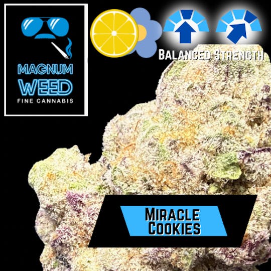 Magnum Weed - Magnum Miracle Cookies - 1
