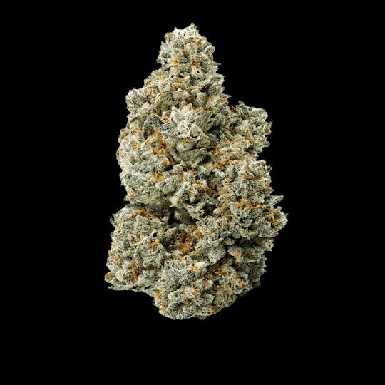 Auraz - Caleta Flower | Dante's Candy - 1