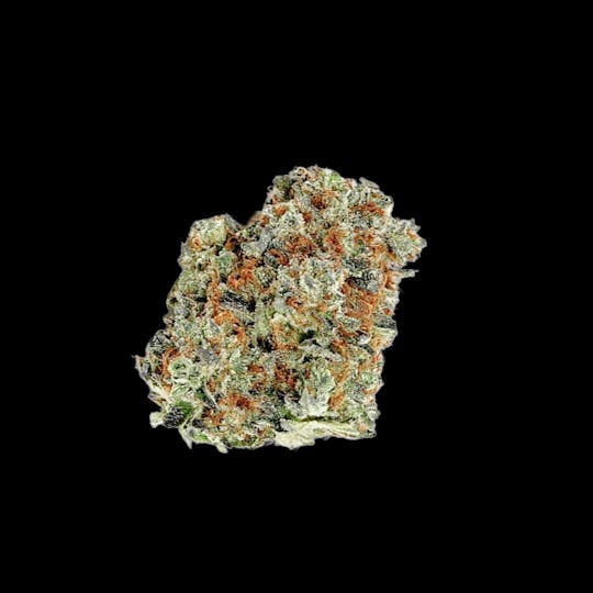 Auraz - Caleta Flower | Biscotti Super Fire - 1