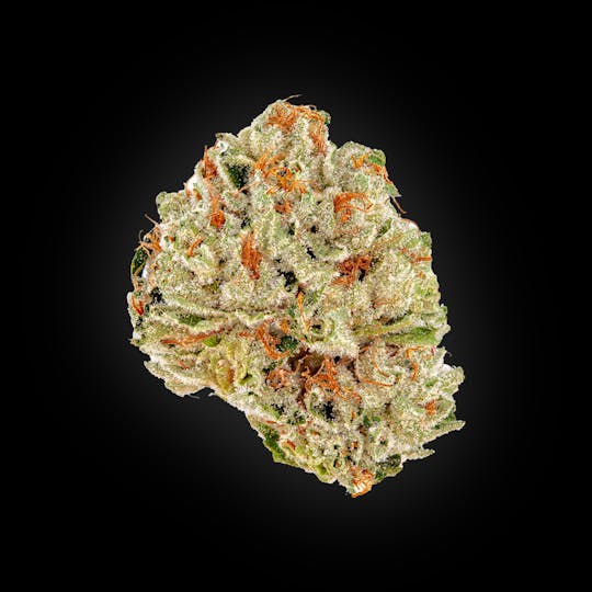 Auraz - Caleta Flower | Blue Nerdz - 1