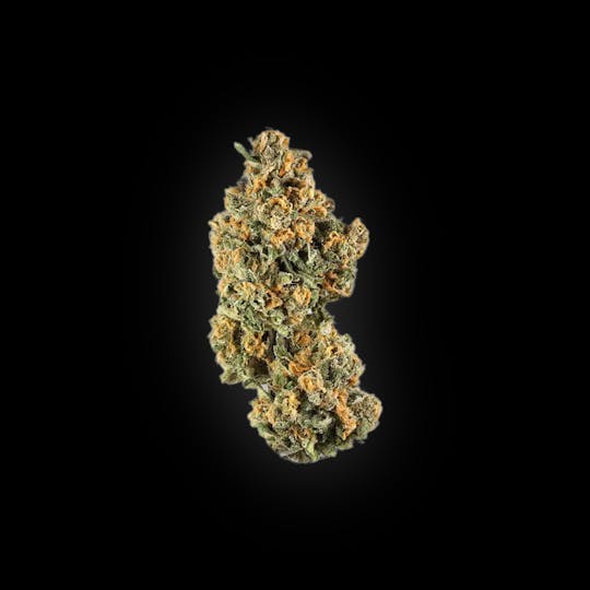 Auraz - Premium Flower | Captain Jack - 1