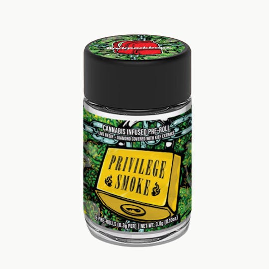 Backpackboyz - Privilege Smoke - 3G 5 pack Infused Prerolls - 1