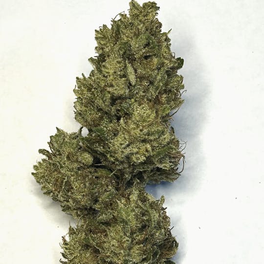 Daedalus Craft Cannabis - $100 Ounce of the Day - Sativa Kali - 1