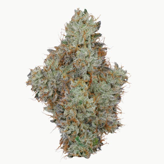 Fig Farms - Animal Runtz - 1