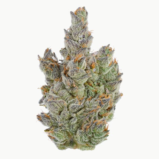 Fig Farms - Moonana Chronic - 1