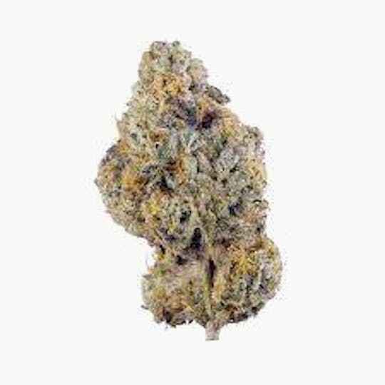 Strains - Strains 3.5g Sweet Lady - 1