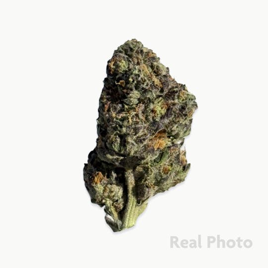 Stingers - Gelato Cake - 14 gram - 1