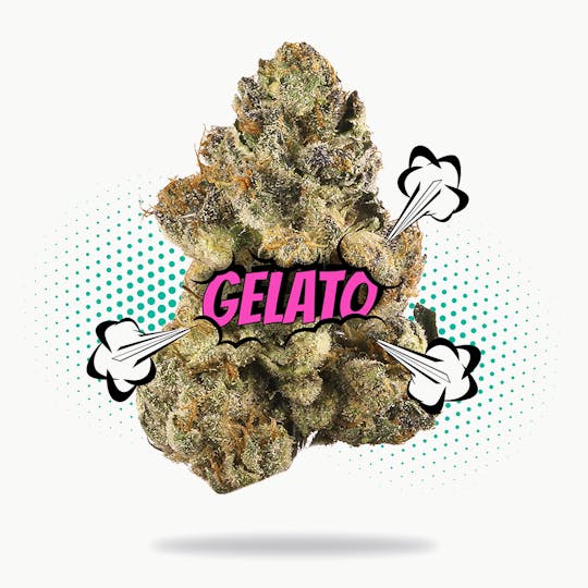 Frostiez - Gelato (3.5g - 1/8oz) - Premium Shelf - Hybrid - 1