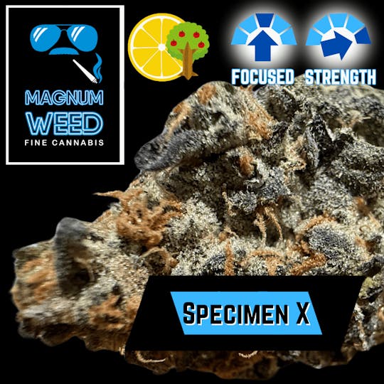 Magnum Weed - Magnum Specimen X - 1