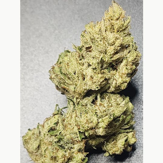 Daedalus Craft Cannabis - $100 Ounce of the Day - Alex Honnold - 1
