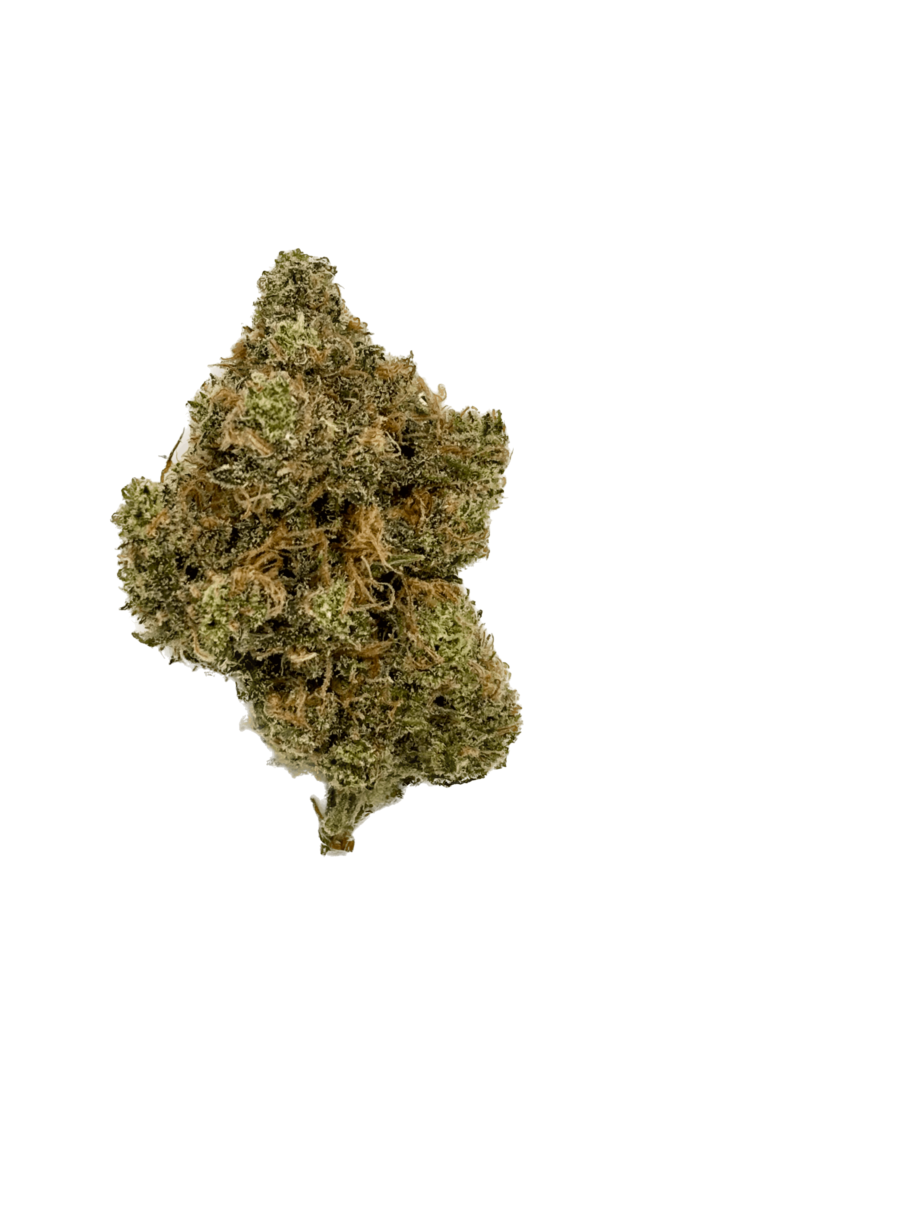 Dynastree - Pineapple Chunk 50% I 50% S - 1