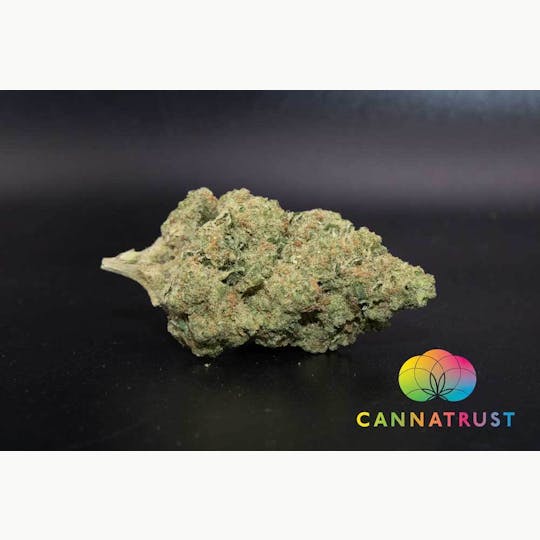 Trusty Transportations - Apricot Papaya 1/2 Ounce/14Grams(31%THC, Sativa) - 1