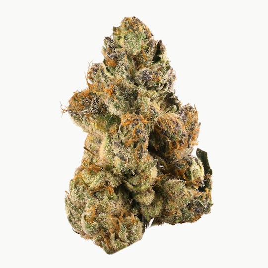 Frostiez - Gelato - Topshelf Indoor - New Drop - Hybrid - 1