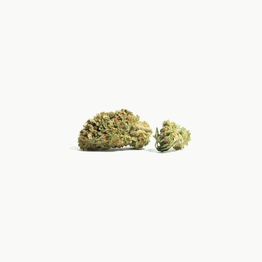 LA Native - Bubble Bath - Sungrown - 1
