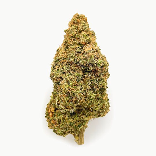 LA Native - Martian Candy - Indoor Mids - 1