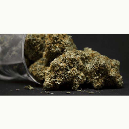 LA Native - Cereal Milk (Low-Shelf) - Hybrid - 1