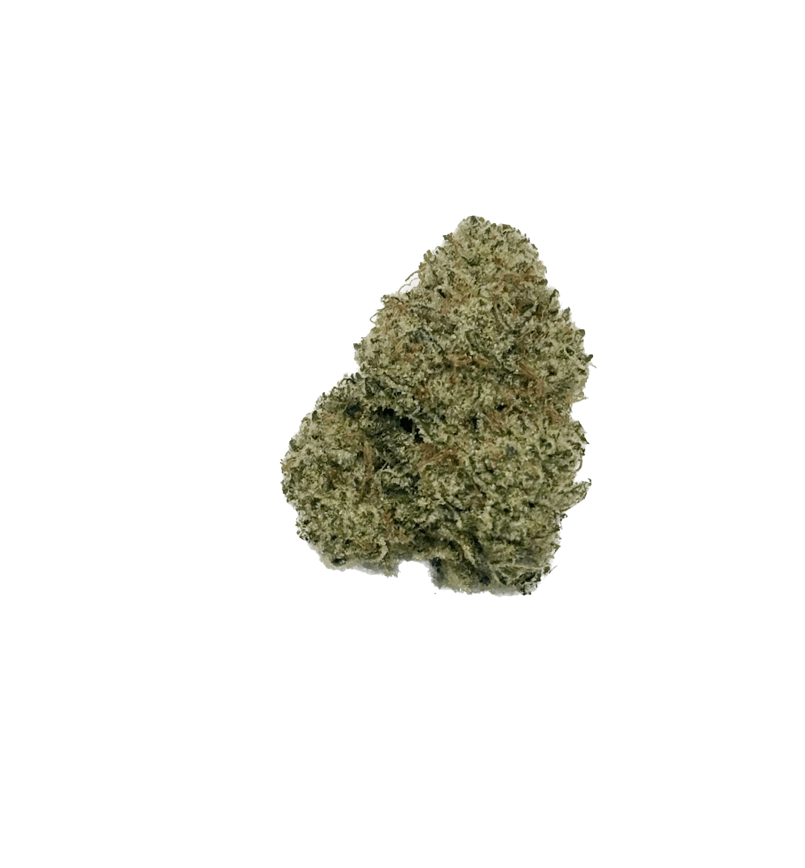 Dynastree - Lemon OG 50%I 50%S - 1