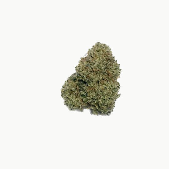 Dynastree - Lemon OG 50%I 50%S - 1