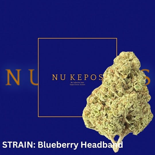 Nu Cannabis Brand - Kepos- Blueberry Headband 14g - PREMIUM FLOWERS - 1