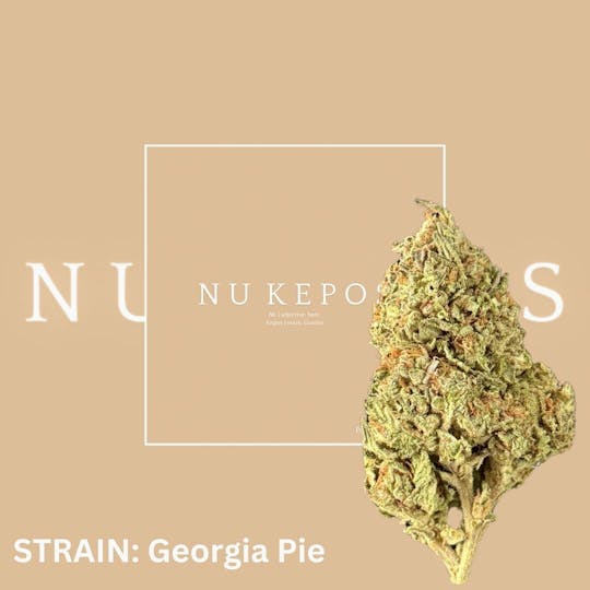 Nu Cannabis Brand - Kepos - Georgia Pie 3.5g - PREMIUM FLOWERS - 1