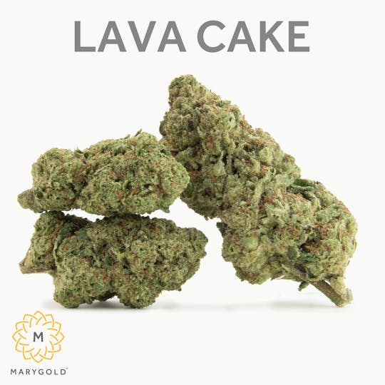 Marygold - Lava Cake 3.5g - 1