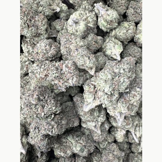 GreenOut - ORANGE PIE - 1