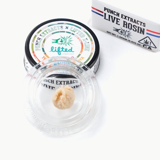 Punch Edibles & Extracts - Tropicana Papaya Tier 4 Live Rosin Cold Cure Badder (1g) - 1