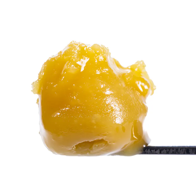 West Coast Cure Dosi Gelpaya #3 Live Rosin Cold Cure Badder - Tier 2