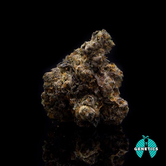 Maitri Genetics - Jet Fuel Gelato - 1