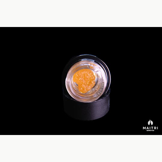 Maitri Genetics - Jet Fuel Gelato - 1