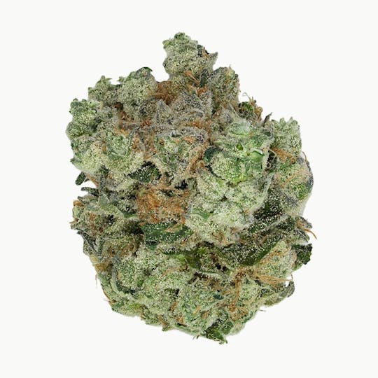 Green Truck - Green Truck - Truck Club Ounce: Jelly Doughnuts - 1