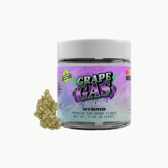 Solis - Grape Gas | Jarred Flower (3.5g) | Hybrid - 1