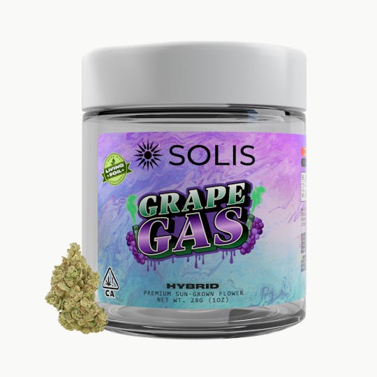 Solis - Grape Gas | Jarred Flower (28g) | Hybrid - 1