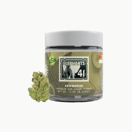 Solis - Elephants 41 | Jarred Flower (3.5g) | Hybrid - 1