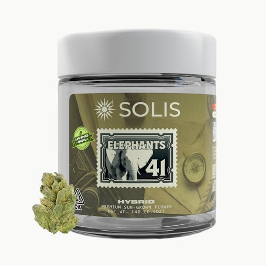 Solis - Elephants 41 | Jarred Flower (14g) | Hybrid - 1