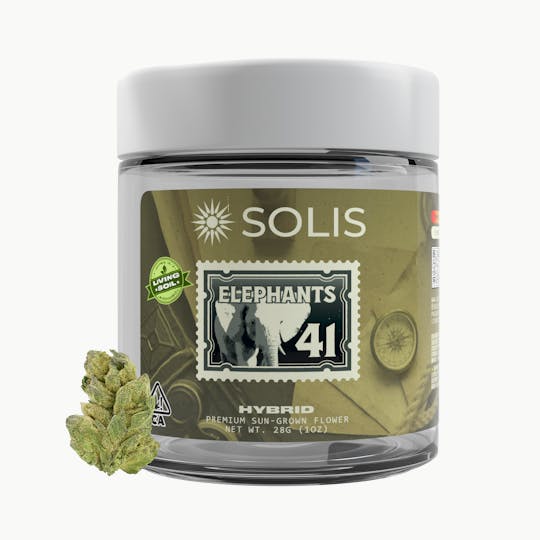 Solis - Elephants 41 | Jarred Flower (28g) | Hybrid - 1