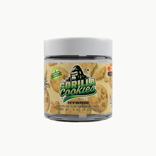 Solis - Gorilla Cookies | Jarred Flower (3.5g) | Hybrid - 1