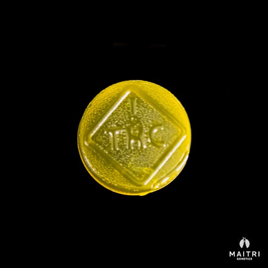 Maitri Genetics - Star Fruit 50mg THC Troches | 10 pack - 1