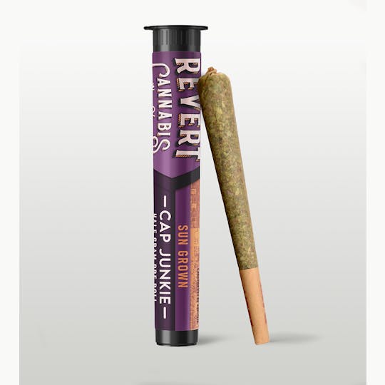 Revert - Cap Junkie Preroll 0.5g - 1