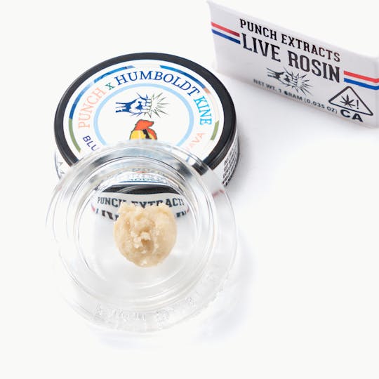 Punch Edibles & Extracts - Blue Razzberry Guava Tier 1 Live Rosin Cold Cure Badder (1g) - 1