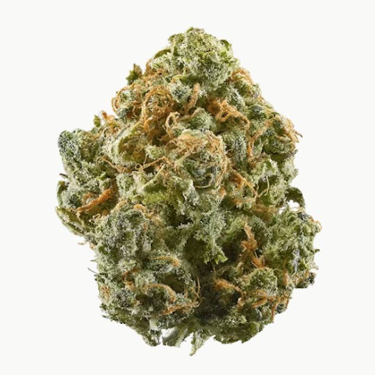 Allure - Blue Dream - 1
