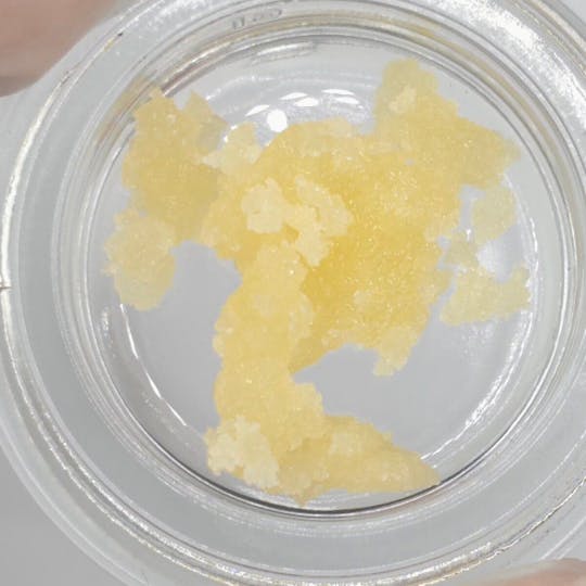 Fireweed Extracts - Moose Drool Terp Sugar - 1g - 1