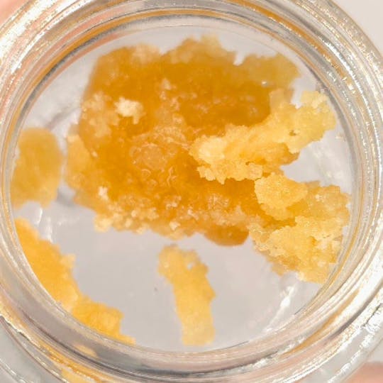 Fireweed Extracts - Bubblegum Sherb Terp Sugar - 1g - 1