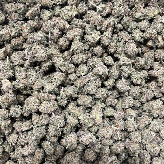 LA Native - Purple Punch - Indoor Smalls - 1