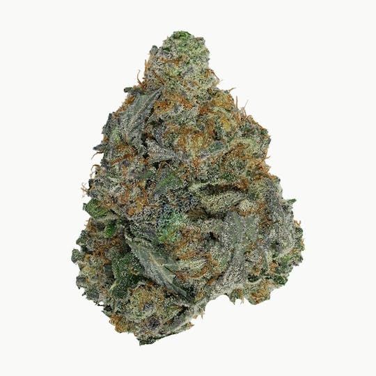 Green Truck - Green Truck - Tropicanna Cookies x Starfighter - 1